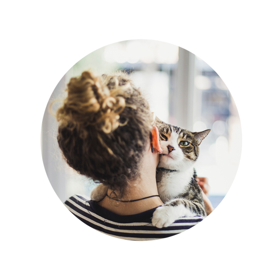 Content_Bild_Katze3
